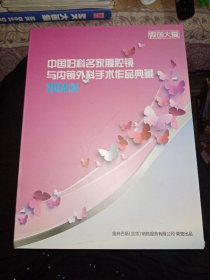 中国妇科名家腹腔镜与内镜外科手术作品典藏2014版