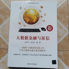 大数据金融与征信/互联网金融系列丛书