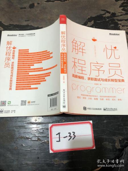 解忧程序员――高薪编程、求职面试与成长转型宝典