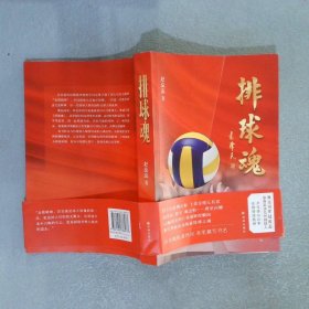 排球魂（奥运冠军赵蕊蕊亲身采访几代排球人60幅珍贵照片重现辉煌瞬间）