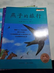 我的朋友很特别+我要爱上吃饭+长大以后做什么+大大行我也行+和爸爸一起动手做+和爸爸一起做运动+大棕熊的秘密+超人波波熊+我好害怕+燕子的旅行+晚安早安睡个好觉+飞上天空的绵羊+我爱你 13本合售 全部绘本