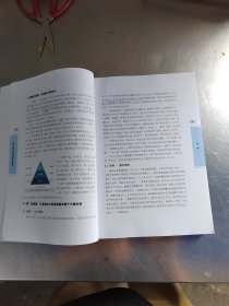 国土空间规划理论探索（正版\几页有点笔记\实物拍摄）
