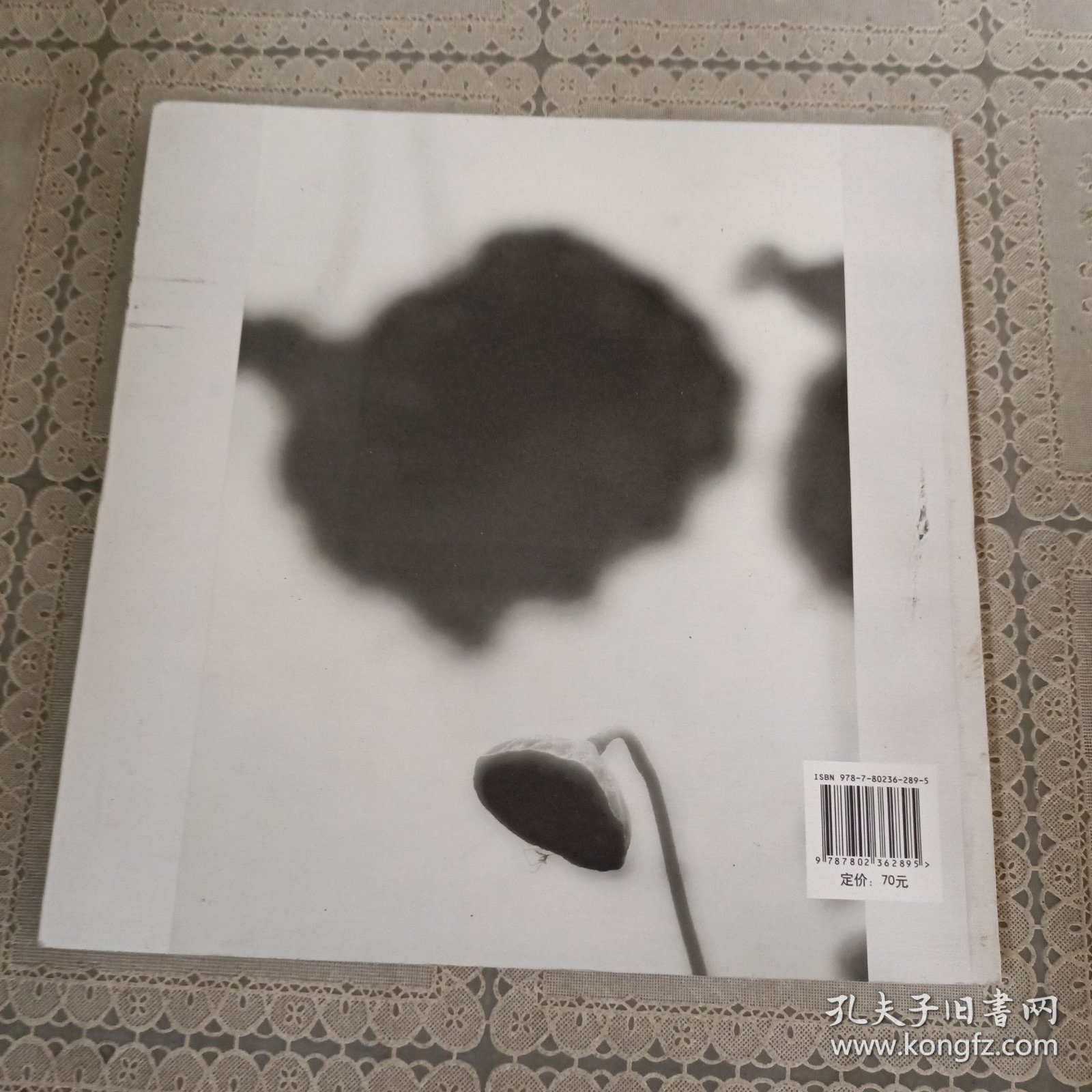 千枝彩荷落清漪