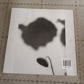 千枝彩荷落清漪