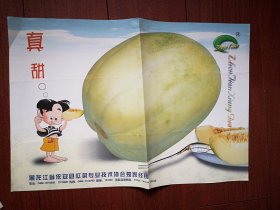 真甜香瓜海报一张，黑龙江依安县