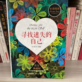 心灵鸡汤1：寻找迷失的自己（黄金典藏版）