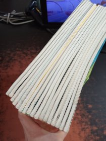 丁丁历险记埃尔热（17本合售）