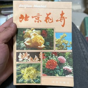 北京花卉