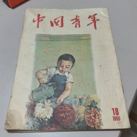 中国青年1955.18