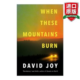 英文原版 When These Mountains Burn 群山燃烧 大卫·乔伊David Joy畅销小说 英文版 进口英语原版书籍