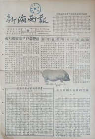 新海南报1956年8月22日
