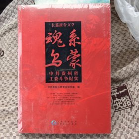 魂系乌蒙-中共贵州省工委斗争纪实