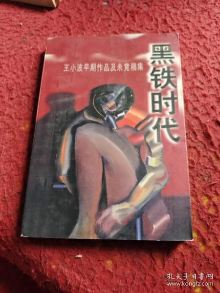 黑铁时代：王小波早期作品及未竟稿集