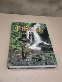 中国兰花：观赏与培育及病虫害防治