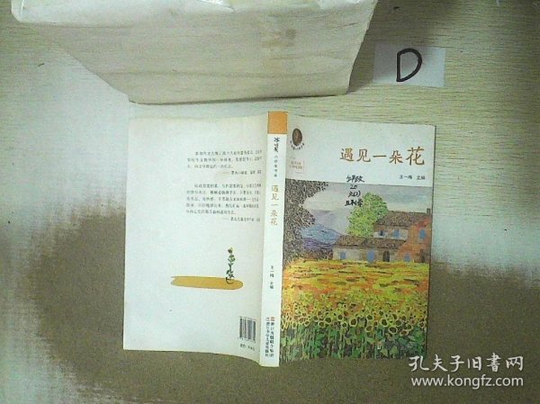 冰心奖小作家书系 冰心作文奖10周年纪念版：遇见一朵花