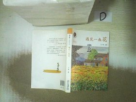 冰心奖小作家书系 冰心作文奖10周年纪念版：遇见一朵花