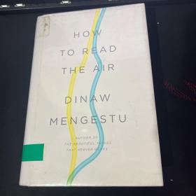 HOW TO READ THE AIR DINAW MENGESTU