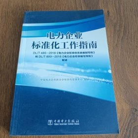 电力企业标准化工作指南