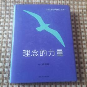 理念的力量：什么决定中国的未来