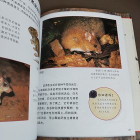 可怕的动物：蜘蛛蝎子和昆虫，老鼠，鳍足动物，集群动物（四本合售）