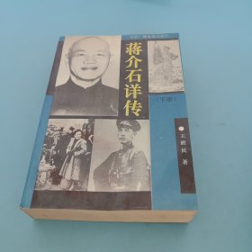 蒋介石详传，下册