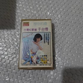 台湾红歌星于台烟，想你的夜