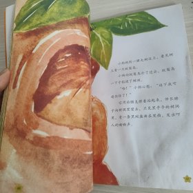 大自然科普童话绘本：带刺的小面包