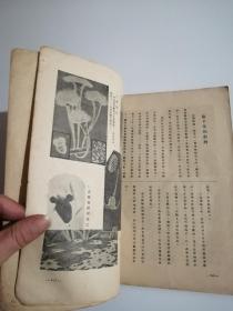 动物形象图说-1933年初版仅印1000册大16开151页400余幅图