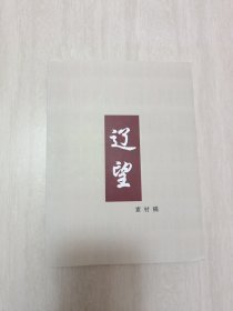 辽望素材稿