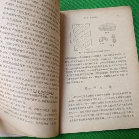 木材保存学
