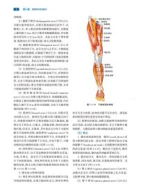 周围神经外科学