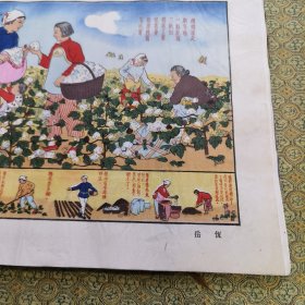 1950年 种棉好 木刻宣传画 荣宝斋制 宣纸 保真 最后两张图片供参考