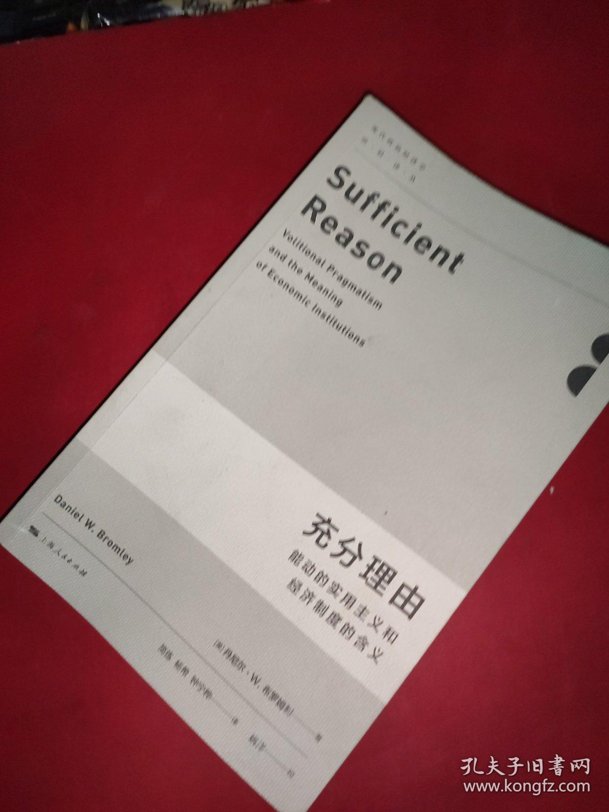 现代政治经济学·前沿译丛·充分理由：能动的实用主义和经济制度的含义