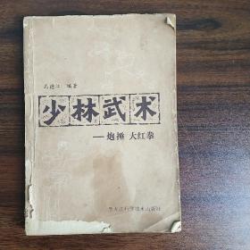 少林武术
