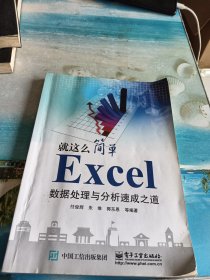 Excel数据处理与分析速成之道