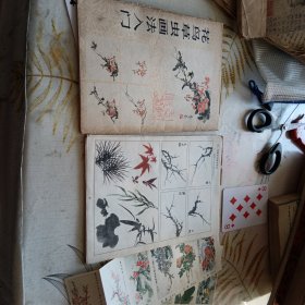 花鸟草虫画法入门，具体见图