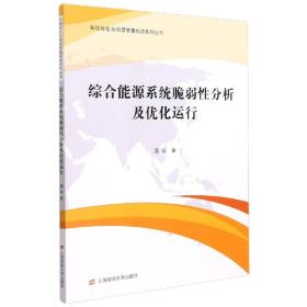 综合能源系统脆弱性分析及优化运行