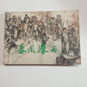 暴风骤雨（上）