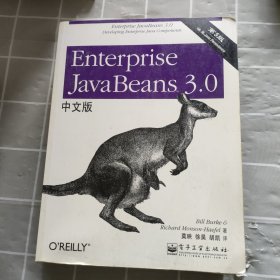 Enterprise JavaBeans 3.0中文版