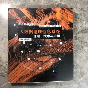 大数据地理信息系统：原理、技术与应用