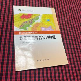 地质勘查综合实训教程