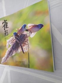 雀影 : 王建国鸟类摄影作品集