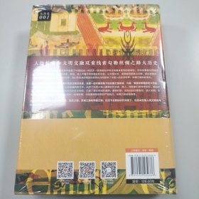 丝绸之路大历史：当古代中国遭遇世界