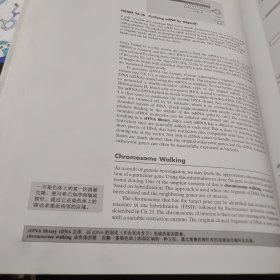 分子生物学（第2版）