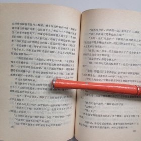 纸项链：布老虎丛书