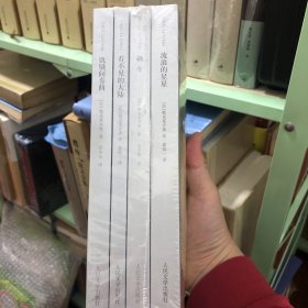 【正版套装】流浪的星星：勒克莱齐奥作品系列 一套4册，另外三本：飙车、看不见的大陆、饥饿间奏曲