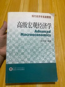现代经济学高级教程：高级宏观经济学