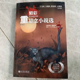 精彩重悬念小说选