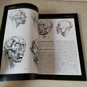 素描人像步骤美术技法丛书