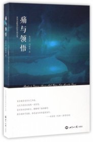 痛与领悟/文学与影视比较大观丛书